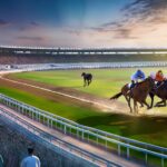 What Is Gold365 Lotus Version?